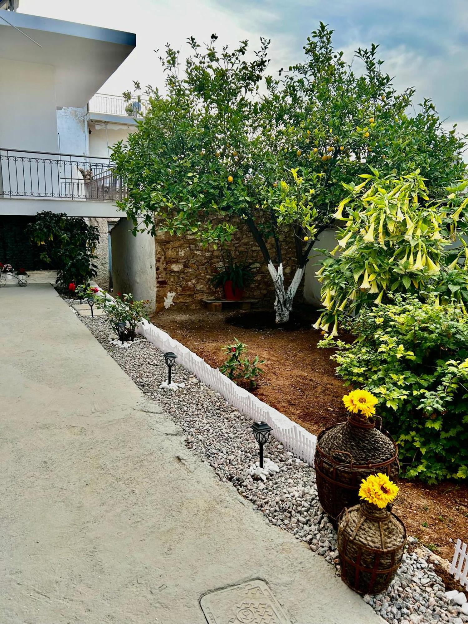 Flower House In Koropi-Near Airport Bagian luar foto
